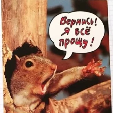Мы говорим: «Он обязательно вернётся», хотя давно не получаем от него никаких известий.