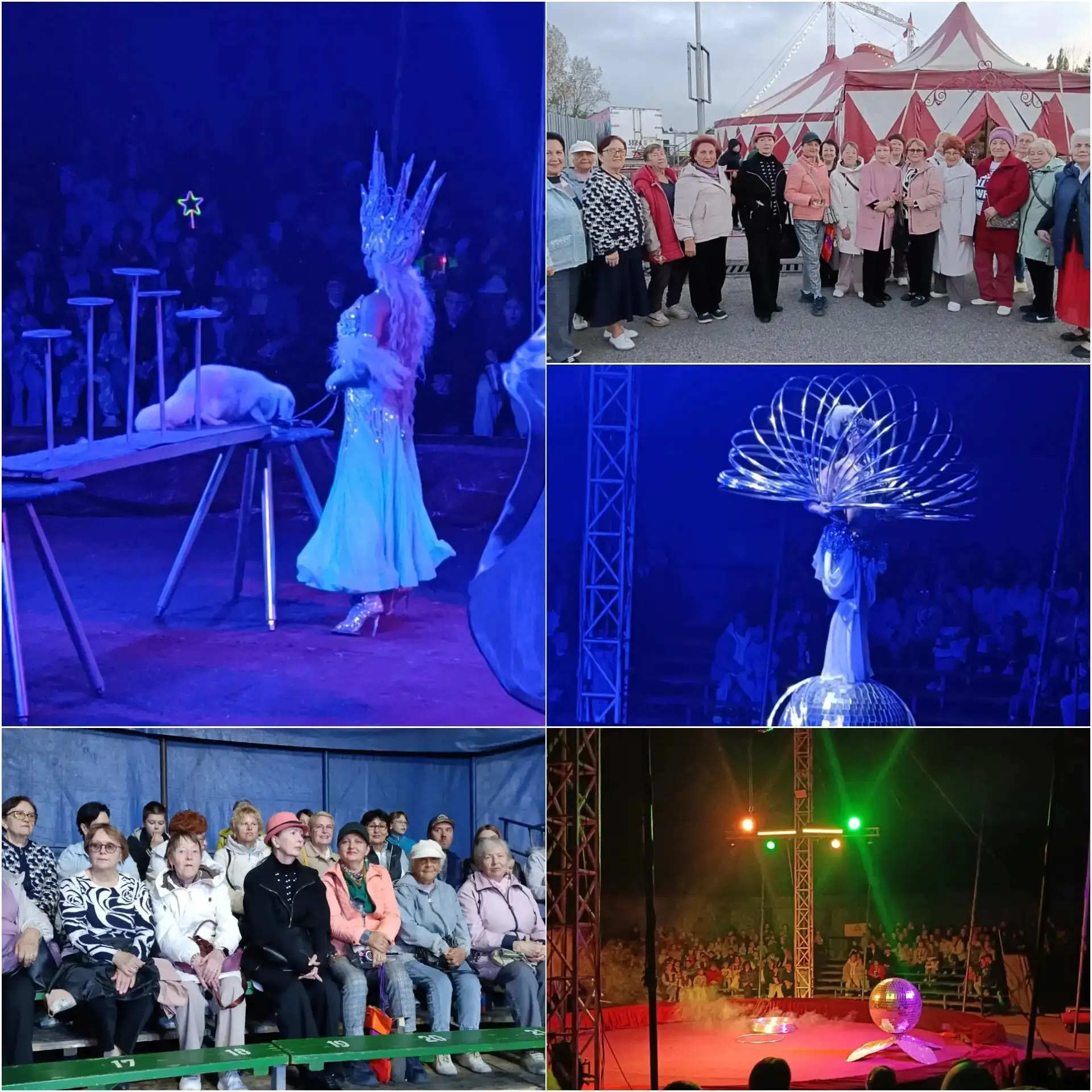 🎪 «Хищник и принцесса цирка»: CIRCUSLAND с Пятигорским центром соцобслуживания населения