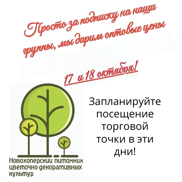 🌿ДРУЗЬЯ, МЫ РАДЫ ВАС ВИДЕТЬ!