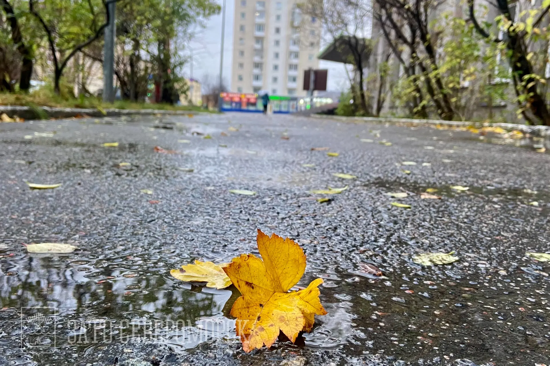 Доброе утро!