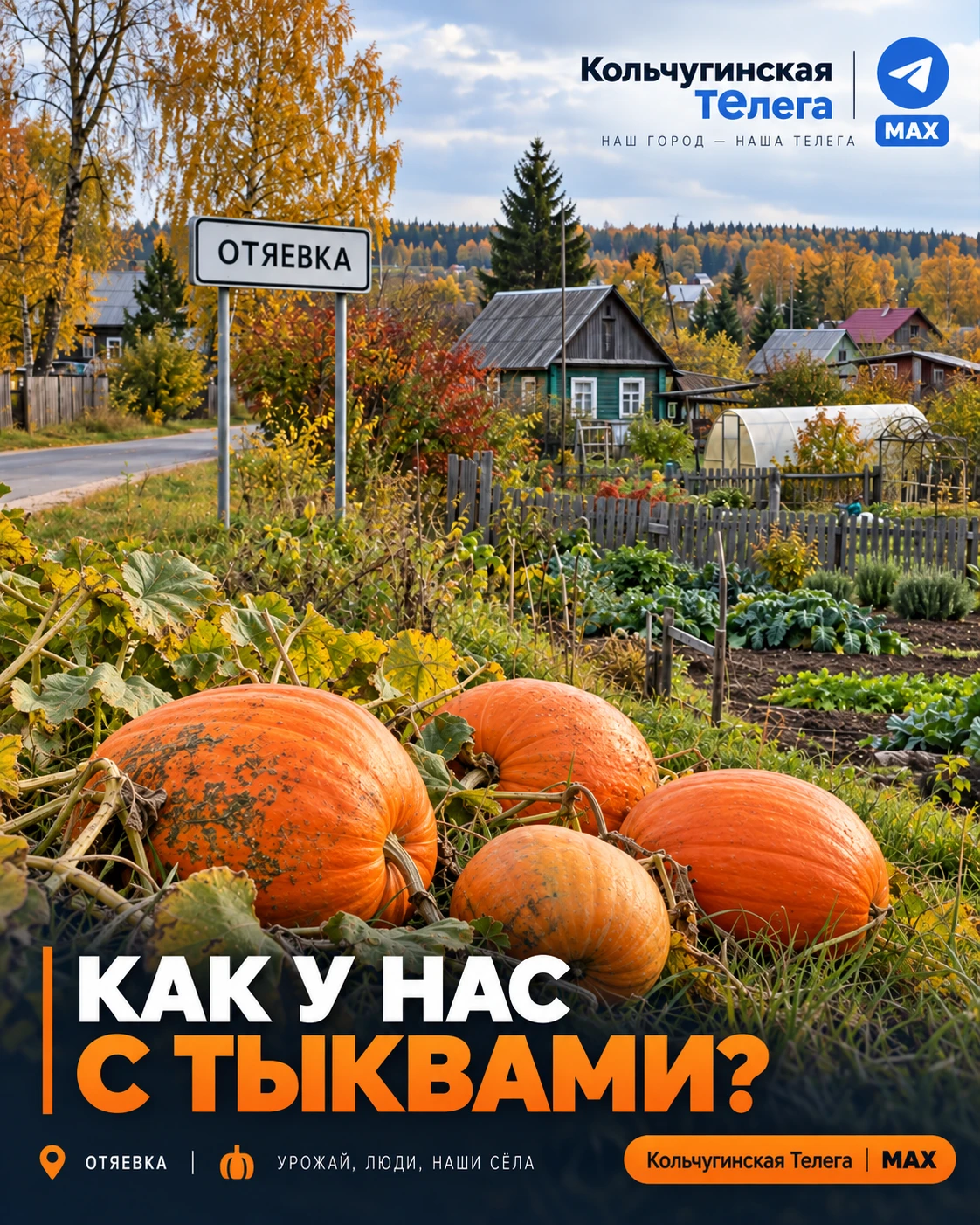🎃 Кольчугинцы, а как у нас дела с тыквами? Есть свои гиганты?