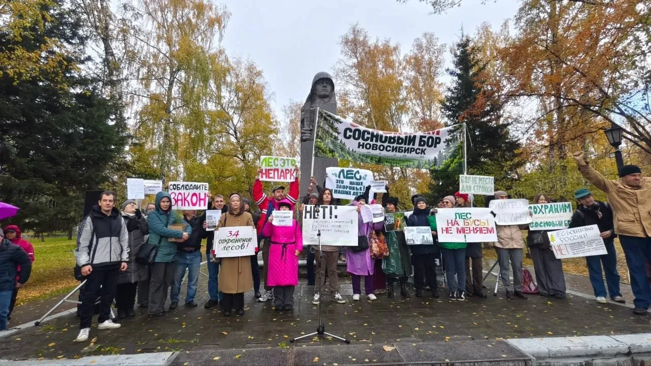 🪵 Около 300 новосибирцев вышли на митинг в защиту Соснового бора