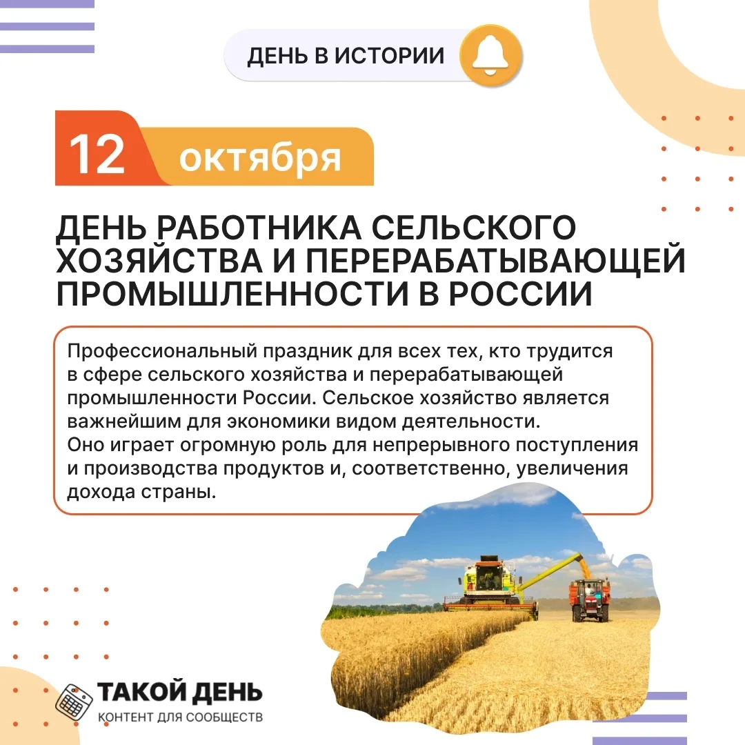 #осеньвсалюте