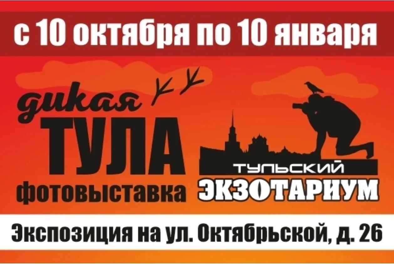 С 10 октября по 10 января Экзотариум приглашает на ежегодную фотовыставку «Дикая Тула».