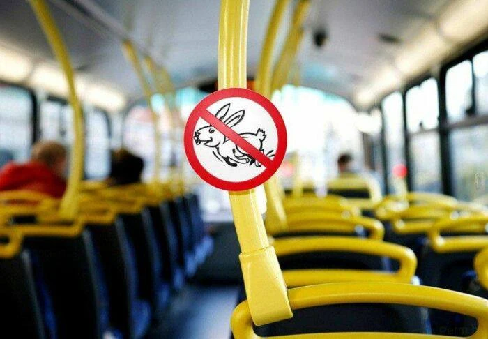 В Воронежской области предлагают штрафовать на 1000 рублей за безбилетный проезд в обще...