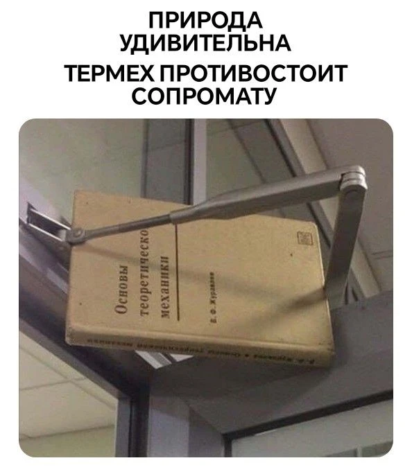 #мчп