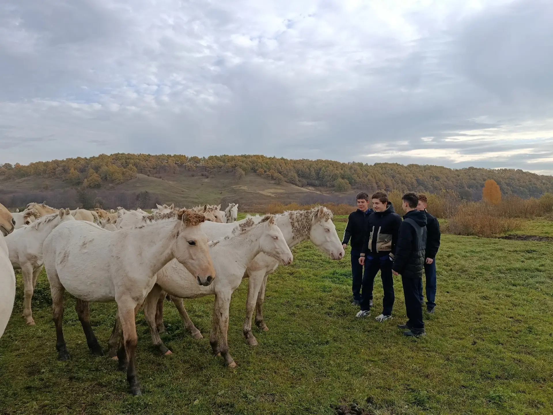 🐴 Ученики Усалинской школы побывали на экоферме «Берсут»