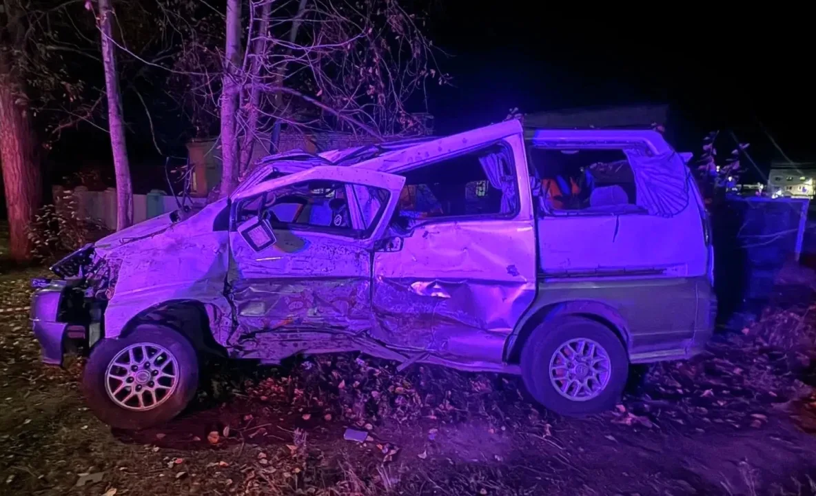 Два человека погибли и восемь пострадали в ночном ДТП в Хабаровском крае
