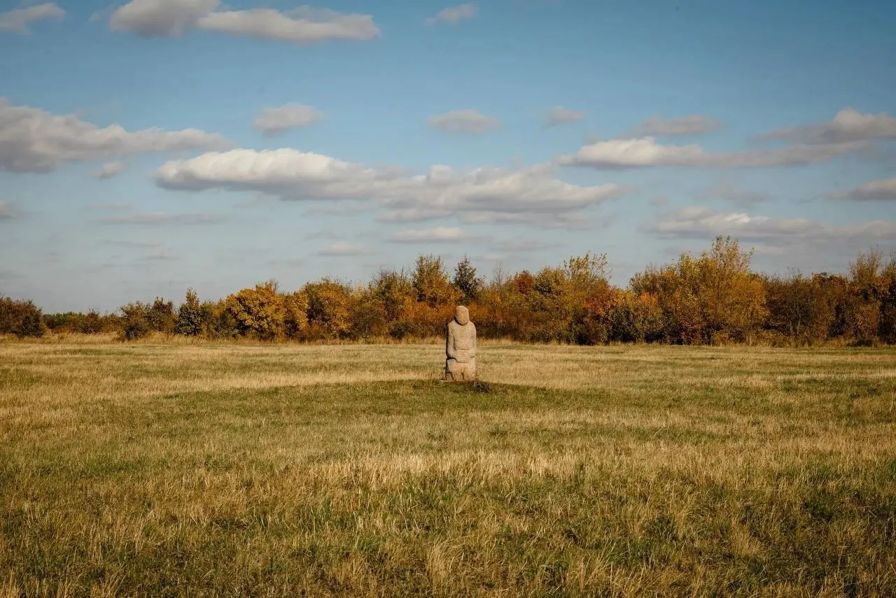 Центрально-Черноземный заповедник имени Алехина планируют сделать привлекательнее для т...