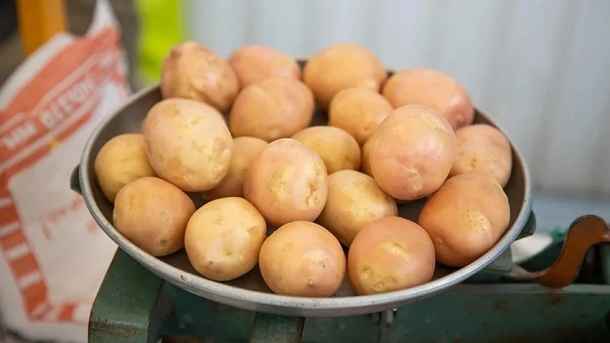 🥔 Овощи подорожали в Тверской области