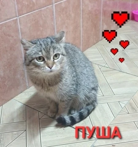 От подписчика: