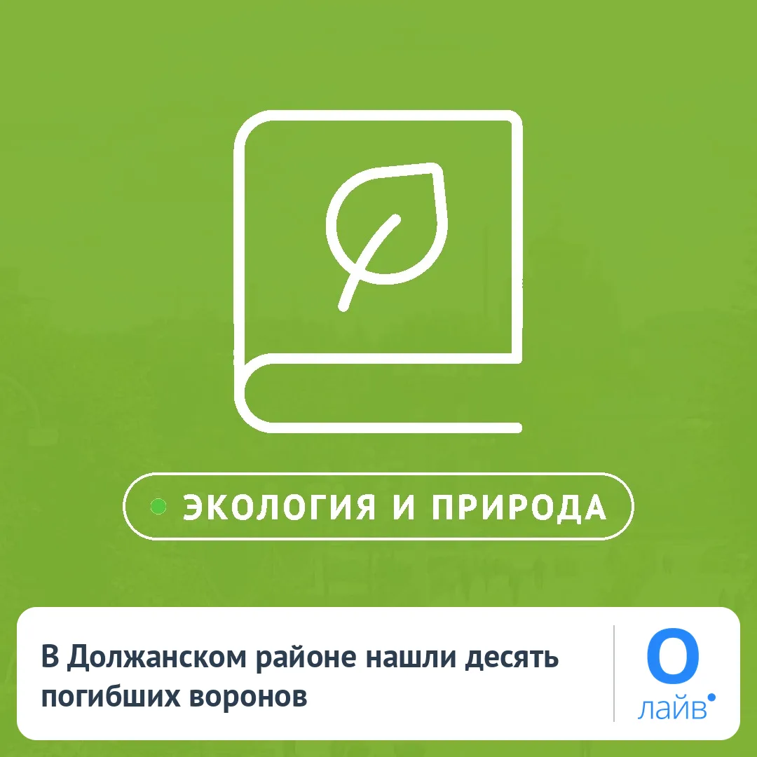 🦅 В Должанском районе нашли десять погибших воронов