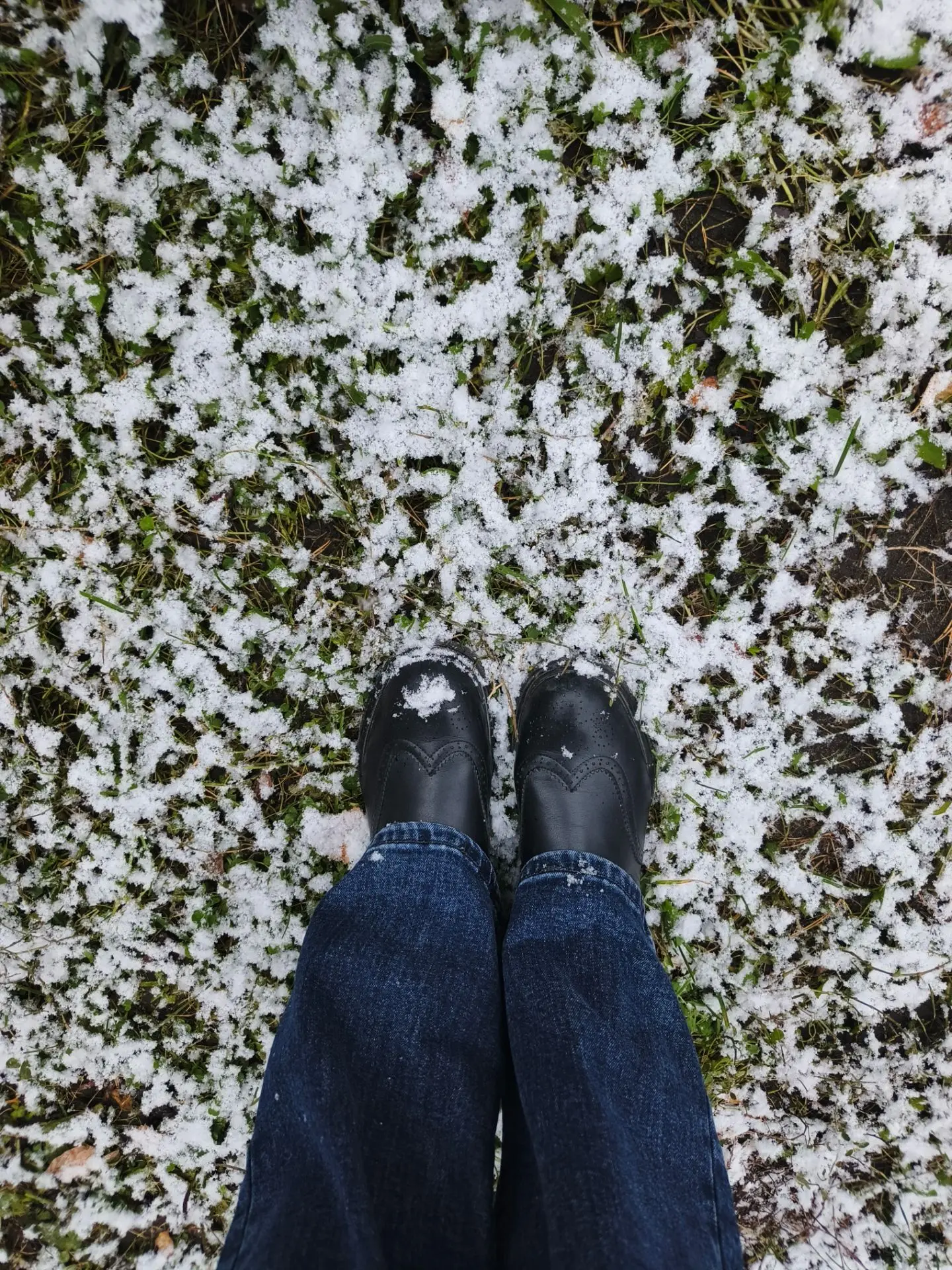 С первым снегом 🌨️