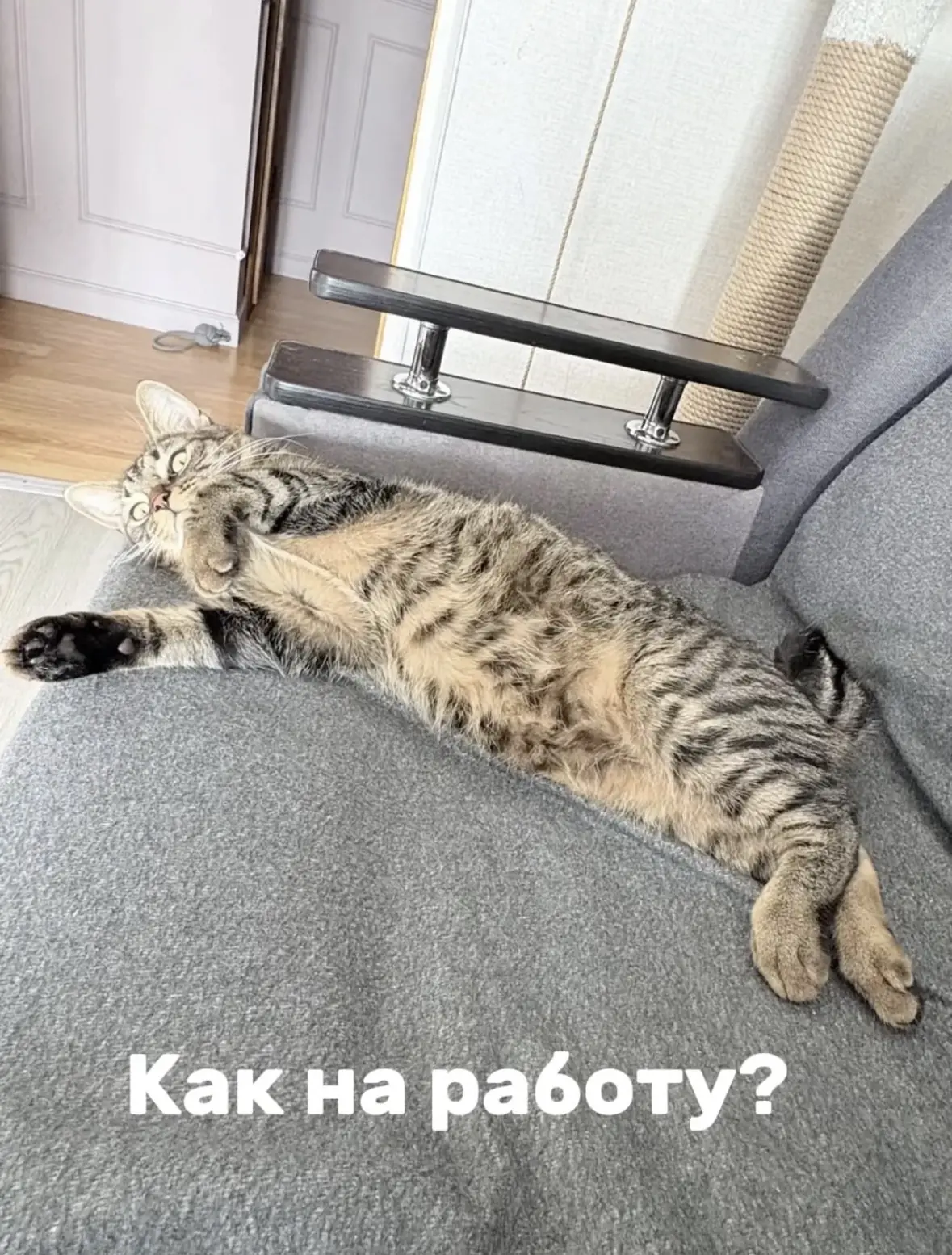 Доброе от Иннокентия.