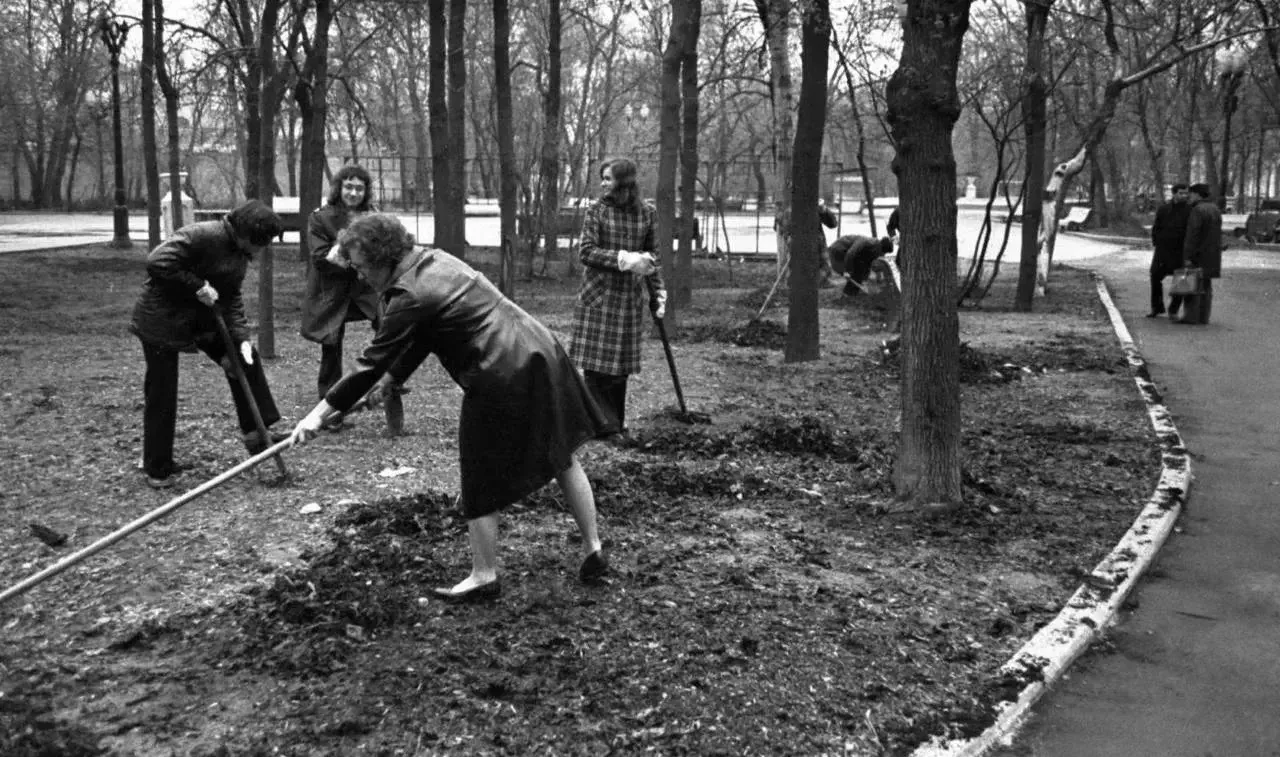 🌳 Сад имени Баумана хранит историю старой Москвы