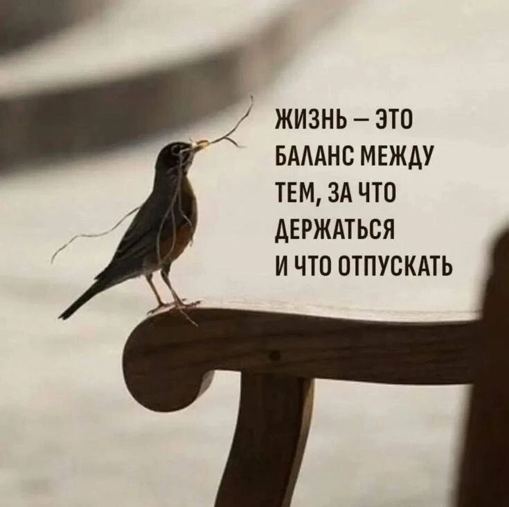 Понравился контент? Подпишись на наш второй канал MAXимально вкусно!