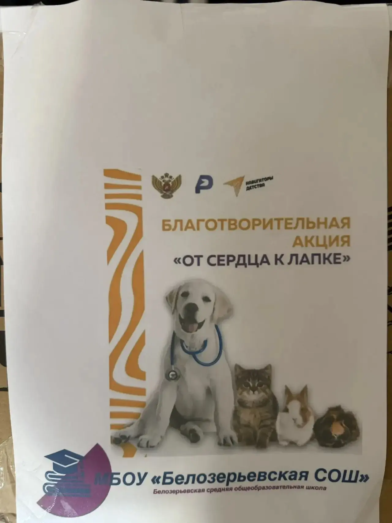 Благотворительная акция «От сердца к лапке» в нашей школе! По инициативе советников дир...