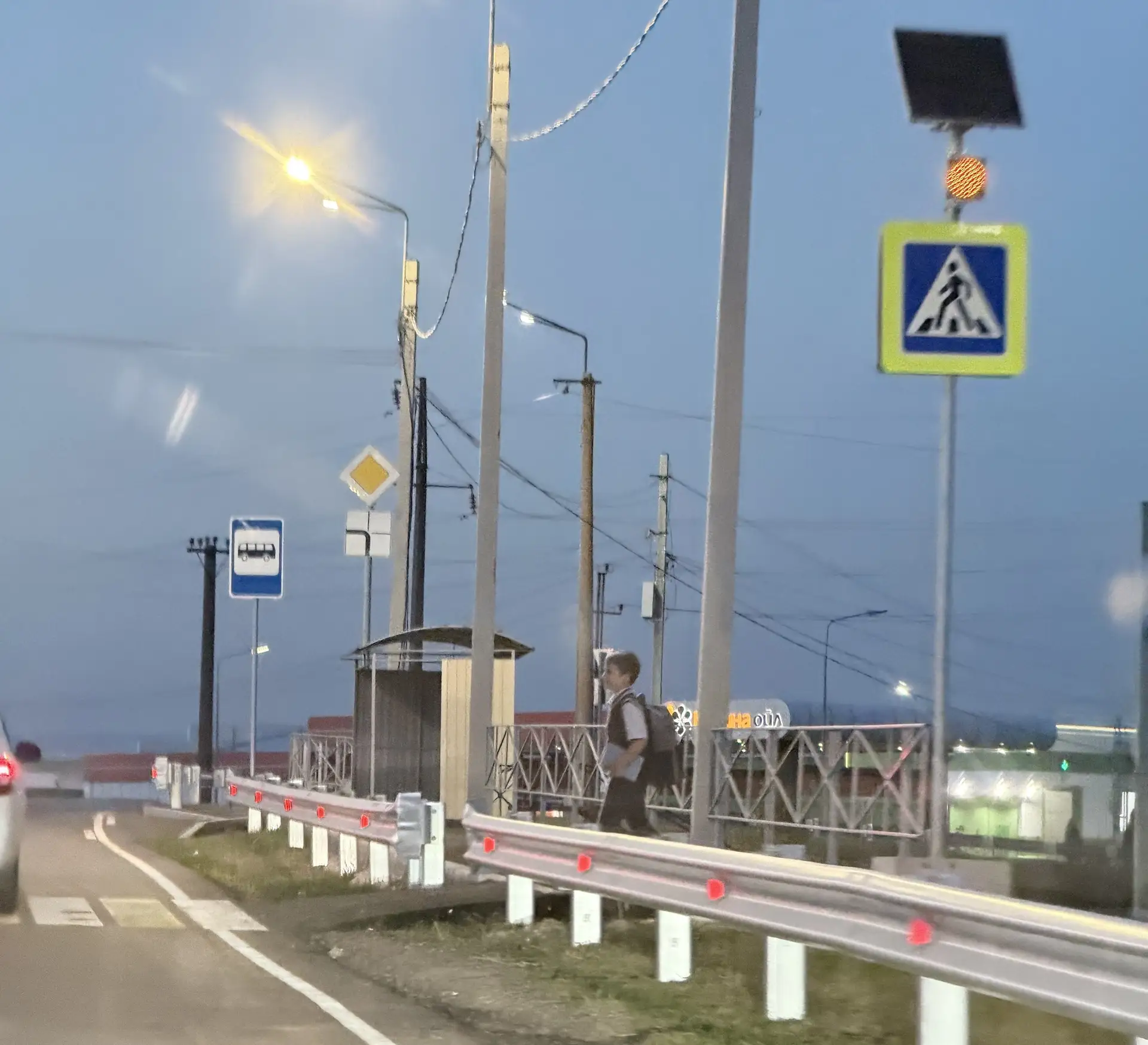 Таких пацанов надо ставить на каждый пешеходный переход