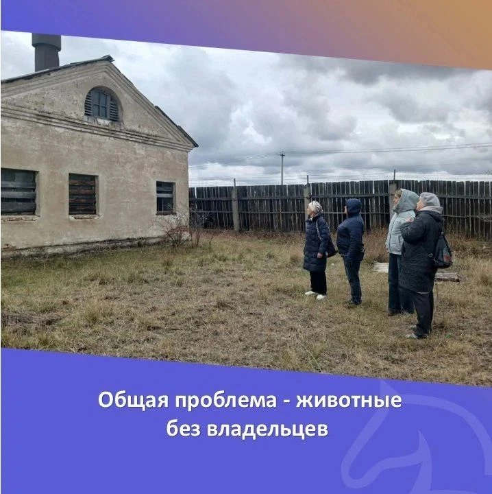 Уважаемые жители Кулундинского района!