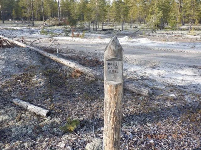 В Югре, несмотря на выпавший снег и похолодание, продолжается грибной сезон 🍄‍🟫