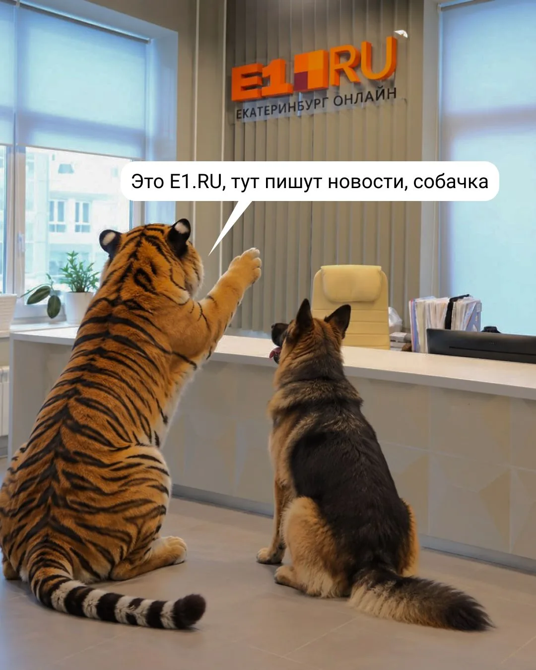 Изображение 2 к публикации «E1.RU | Афиша | Куда сходить в Екатеринбурге»