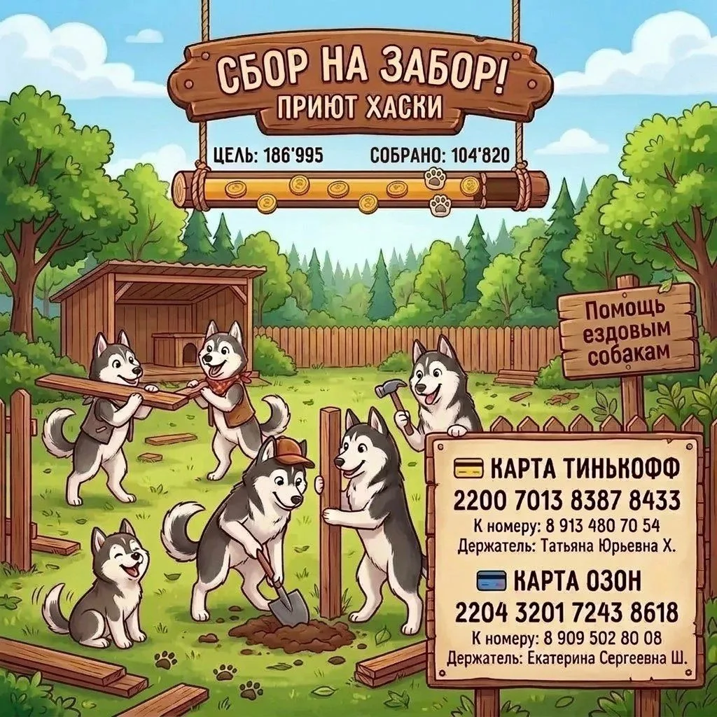 Будни приюта для собак таковы, что по плану двигаться не получается.