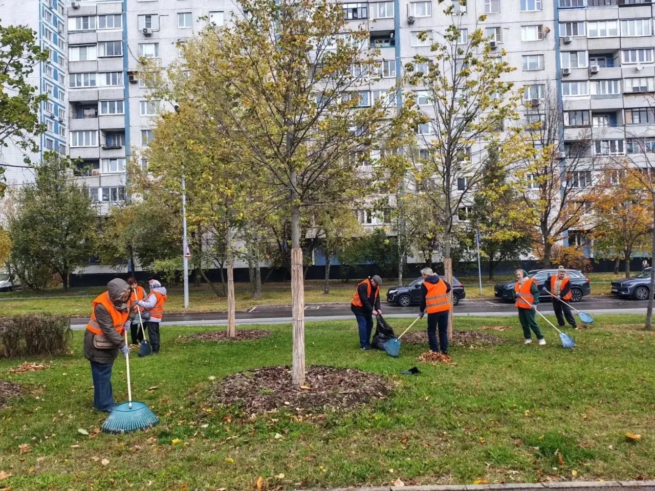 🍂 В Строгино прошел осенний субботник 🍂