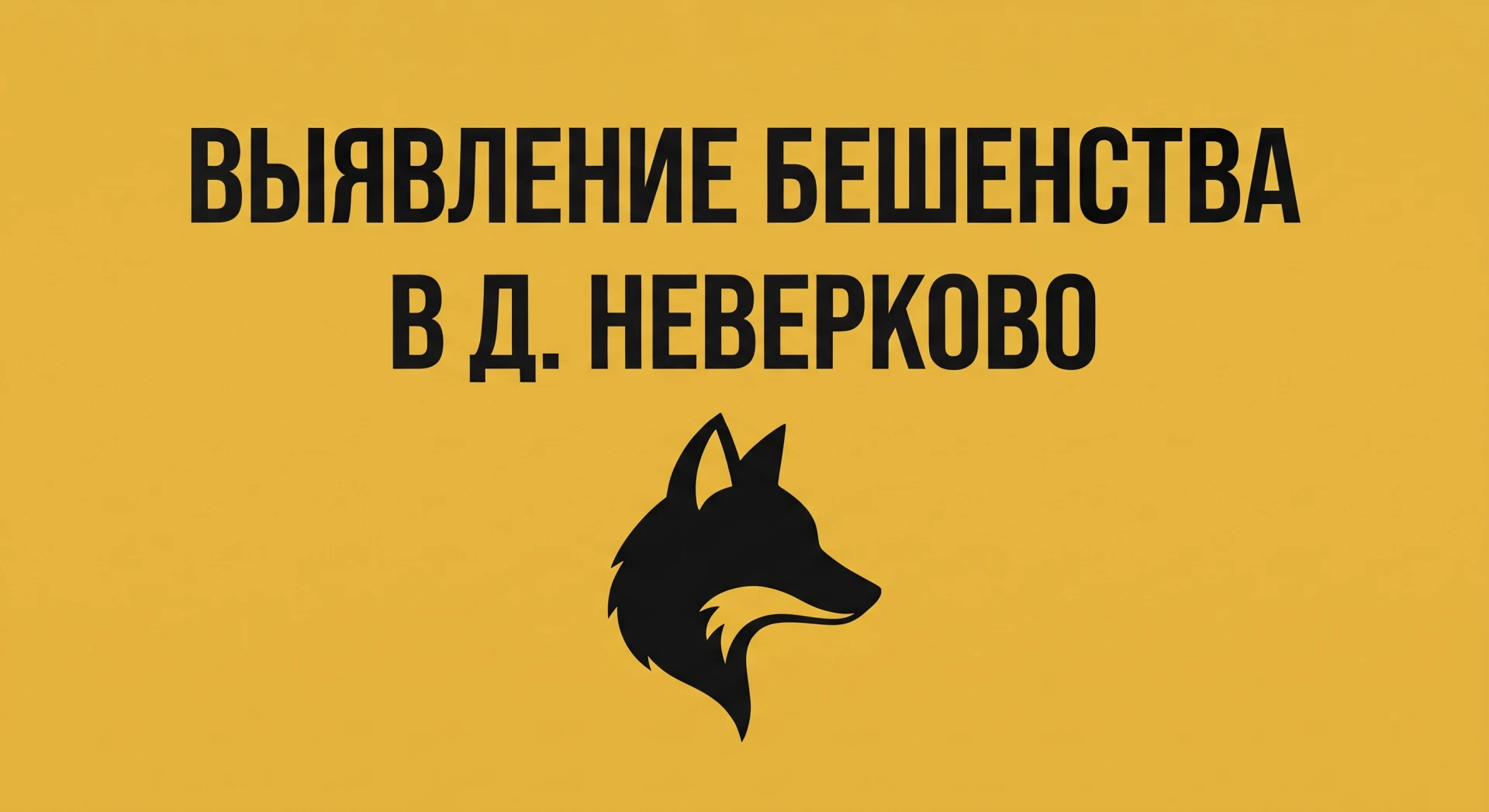 ⚠️ ВНИМАНИЕ! БЕШЕНСТВО В КАМЕШКОВСКОМ ОКРУГЕ