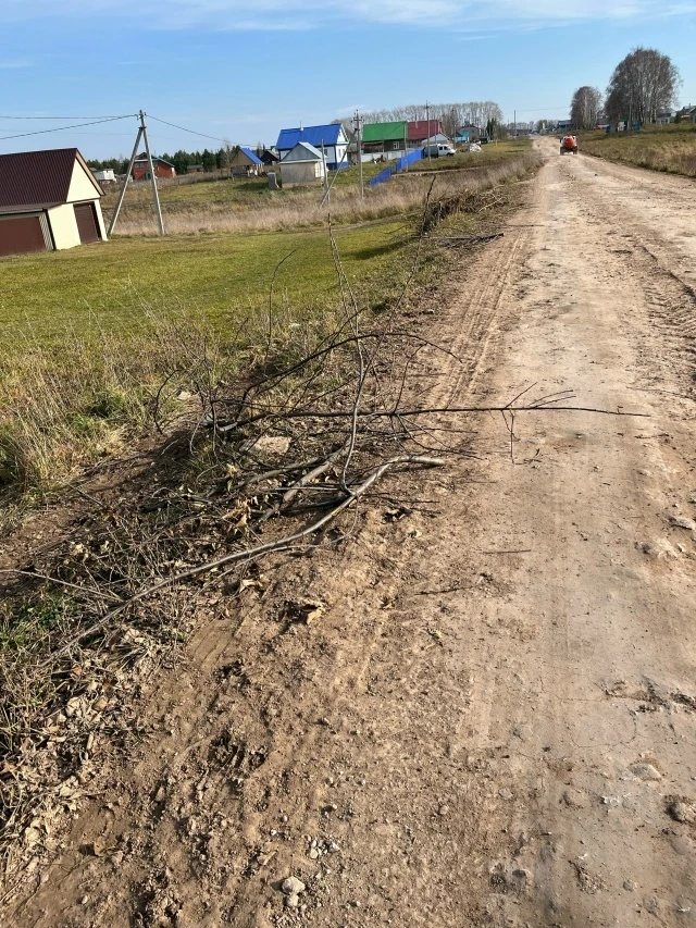 Жительница Мишкинского района Башкирии пожаловалась на мусор и нескошенные обочины на у...