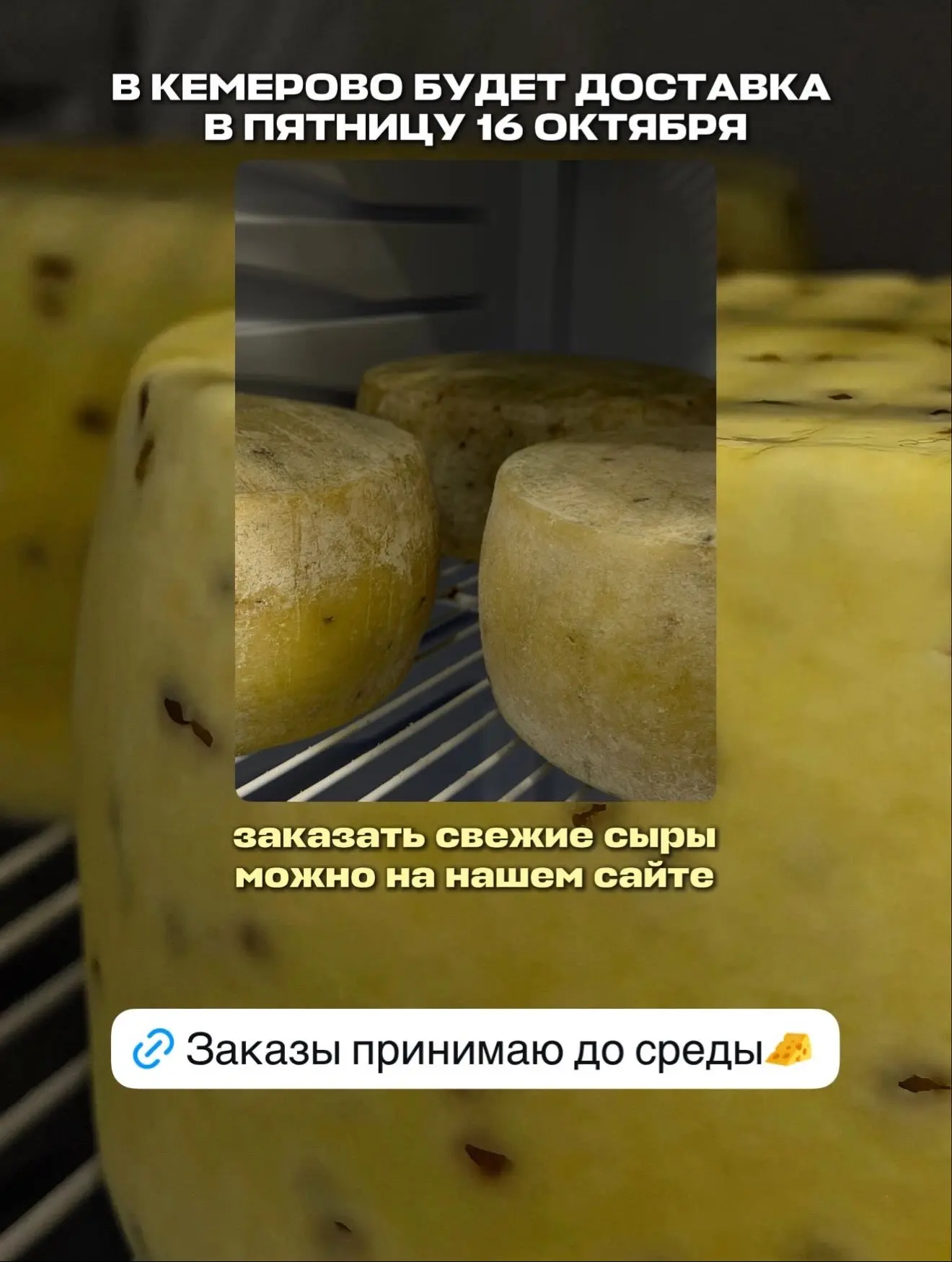 https://БРИЖЕР.РФ