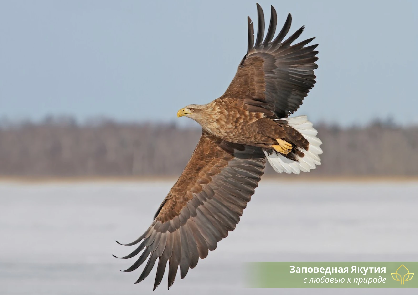 📕 Мы знаем, что вы скучали по нашей еженедельной рубрике «По страницам Красной книги Я...