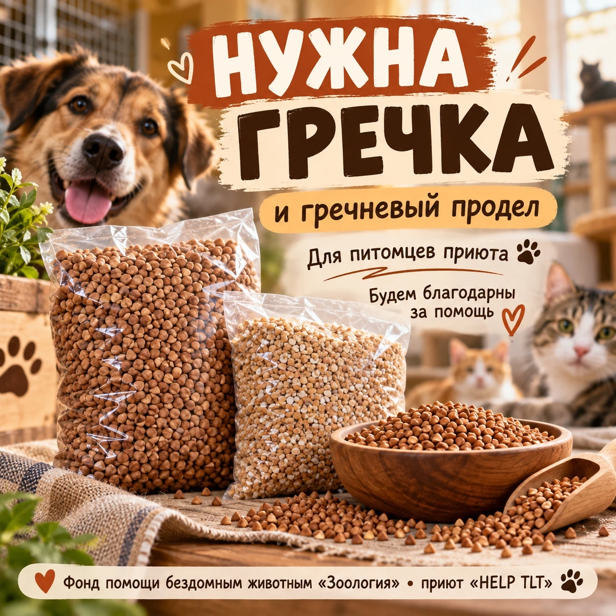 🥣 Друзья, у нас в приюте «HELP TLT» закончилась гречка. Совсем.