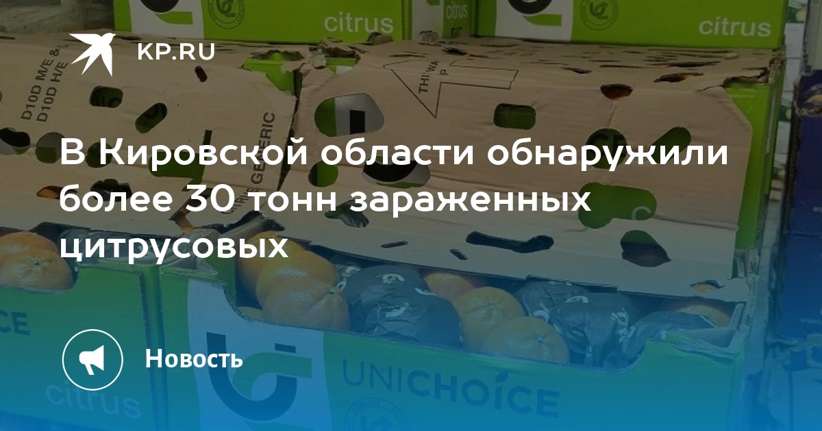 🍊 В Кировскую область привезли 31,6 тонны заражённых цитрусовых