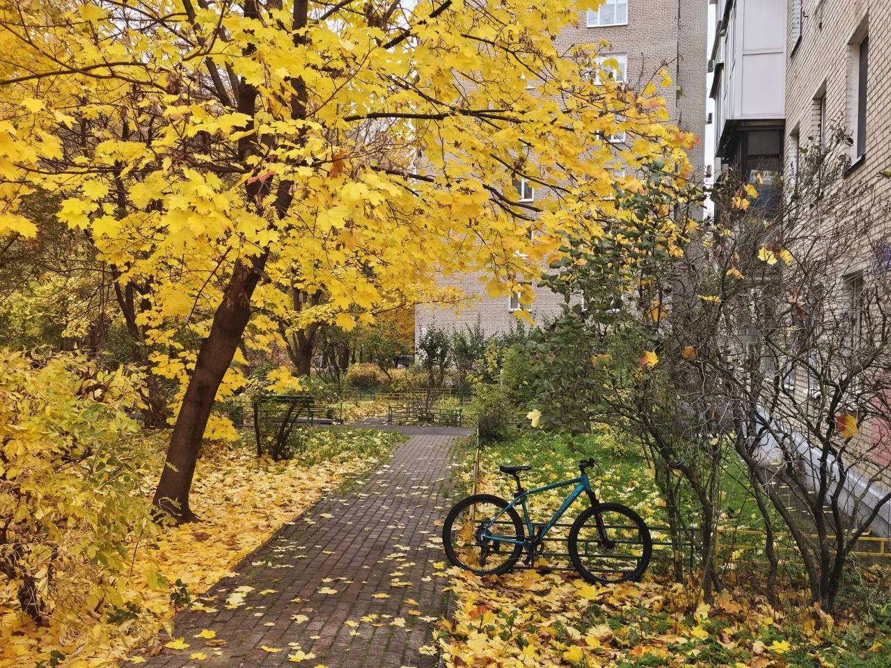 Эстетики балашихинской осени вам в ленту 💛