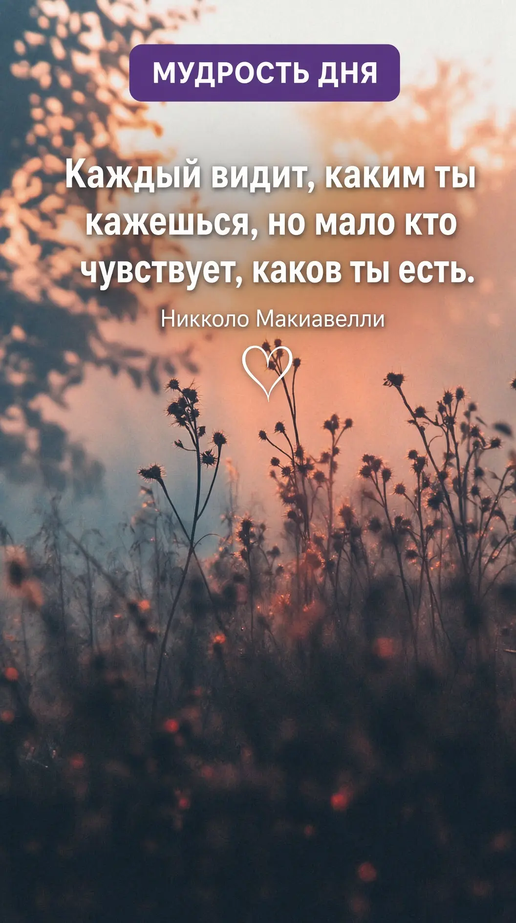 Спасибо за реакции ♥️