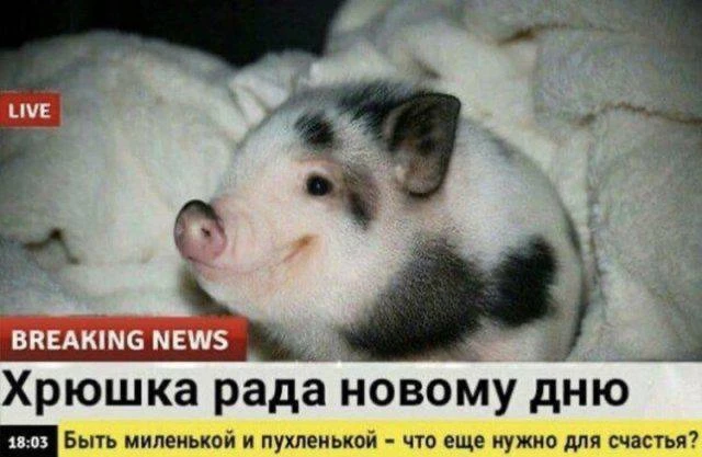 Вот и все, для счастья много не надо