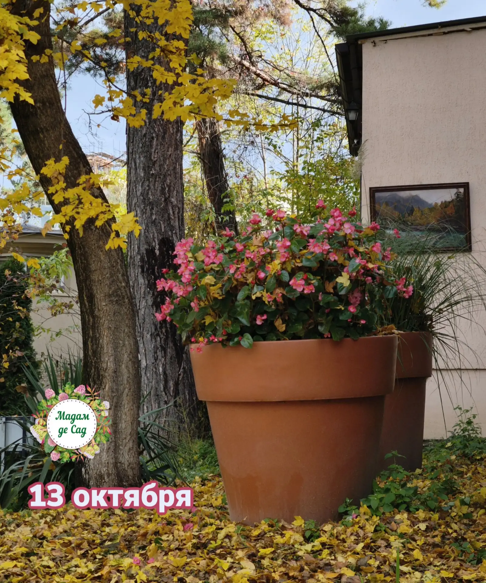 🍂 Доброе утро!