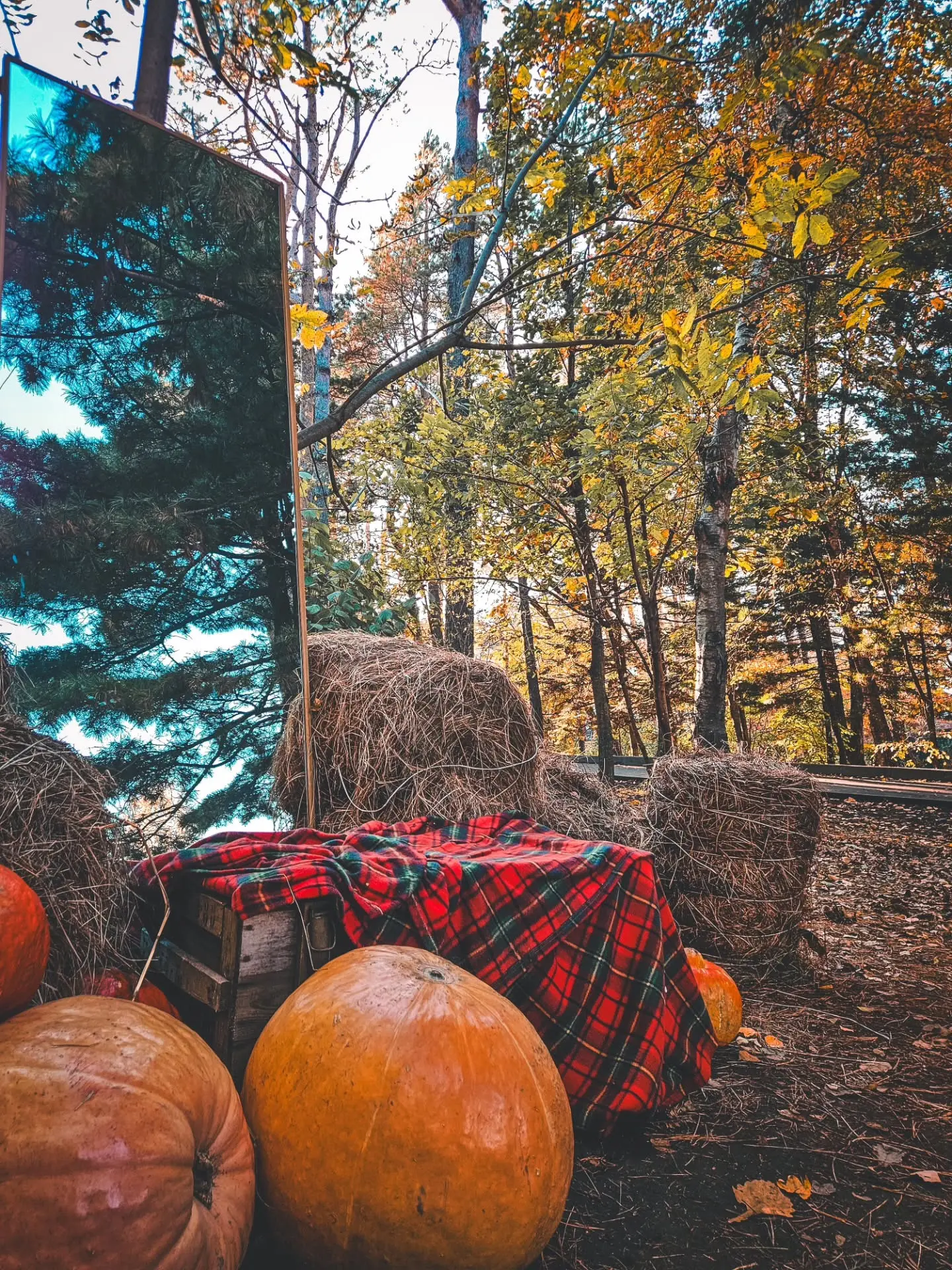 Золотая осень во Владивостоке: ловим дзен в «Седанка Парке» 🍁✨