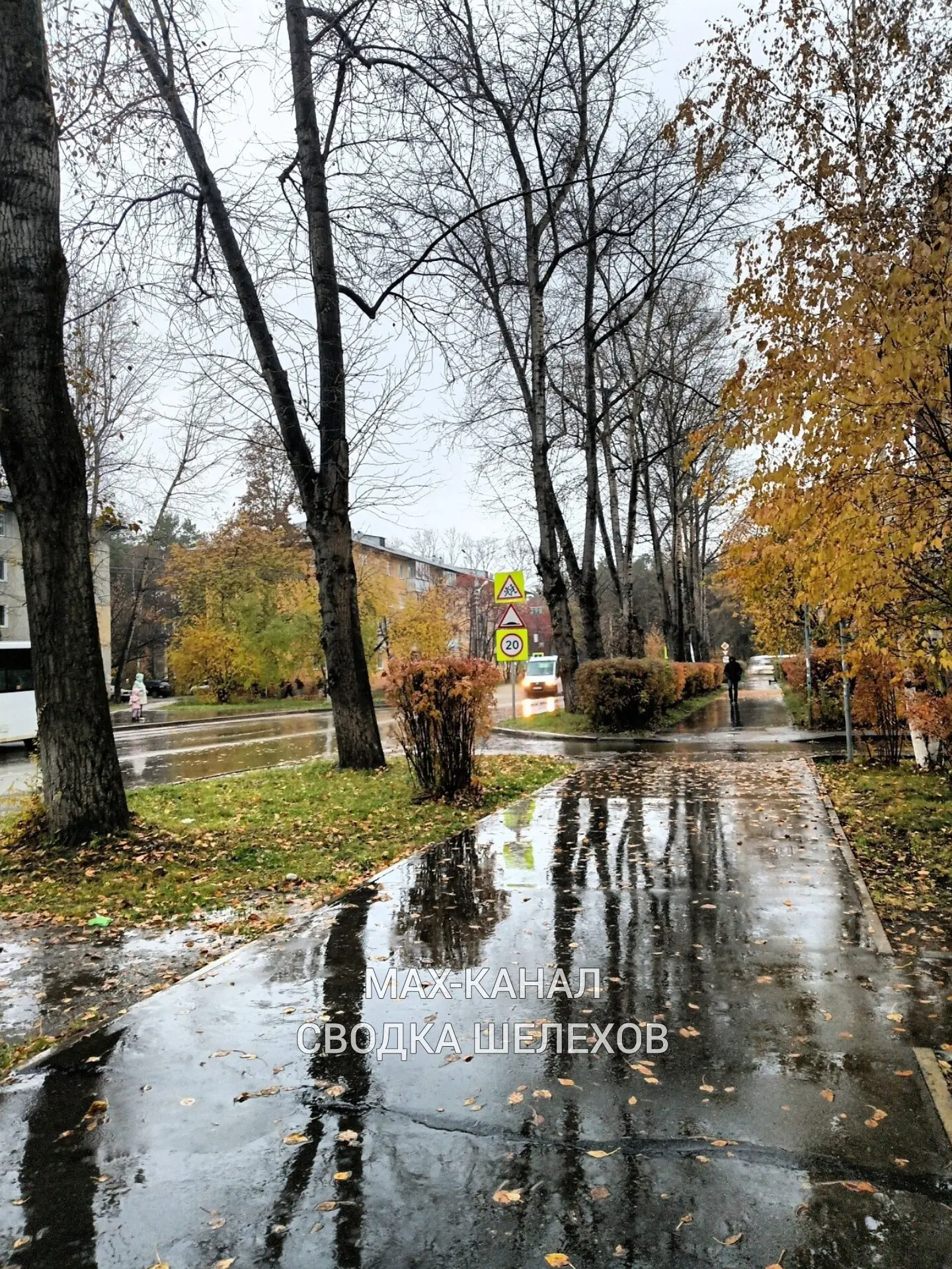 🍂 Шелехов в октябре — дождь, листья и отражения в лужах