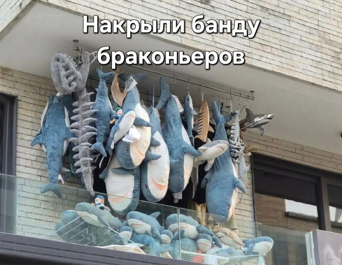 ЯНТАРНЫЕ ВРЕДИТЕЛИ