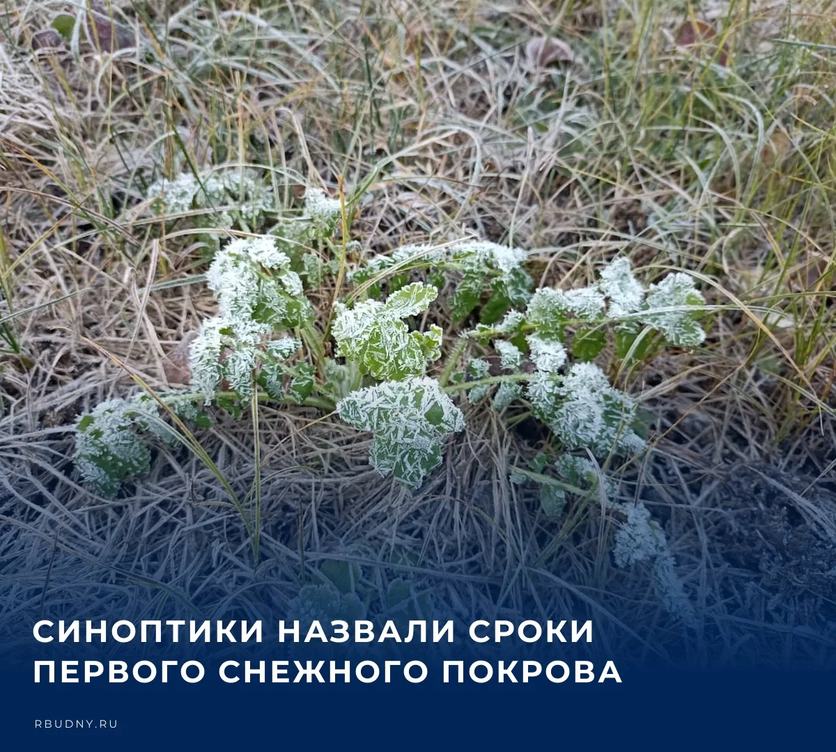 🌤️ Зима не торопится в Тульскую область, уступая место долгой и дождливой осени. Октяб...