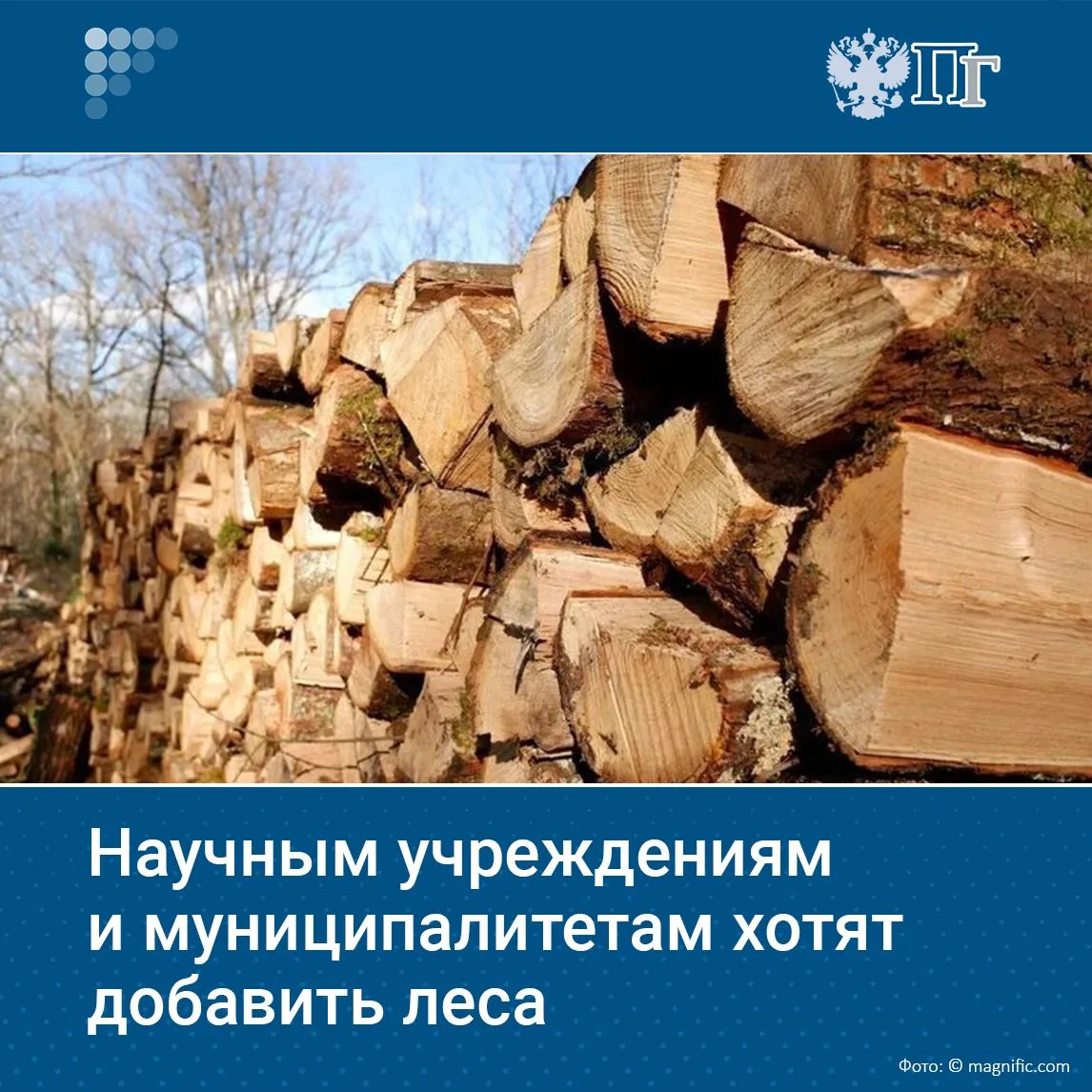 Древесина, оставшаяся после санитарных рубок или строительства лесных дорог, может стои...
