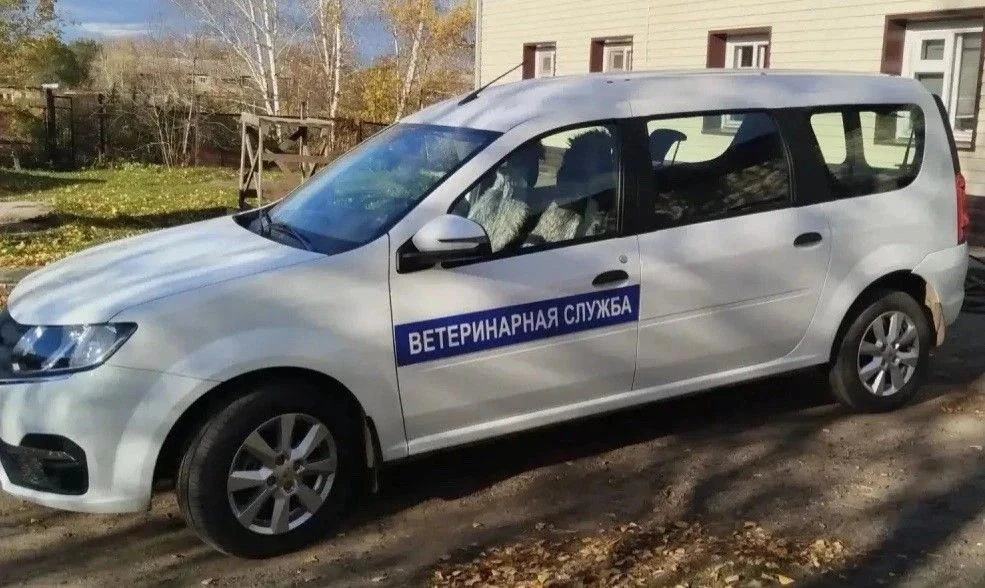 В Сосновоборском округе и Берёзовке продолжаются карантинные и профилактические меропри...