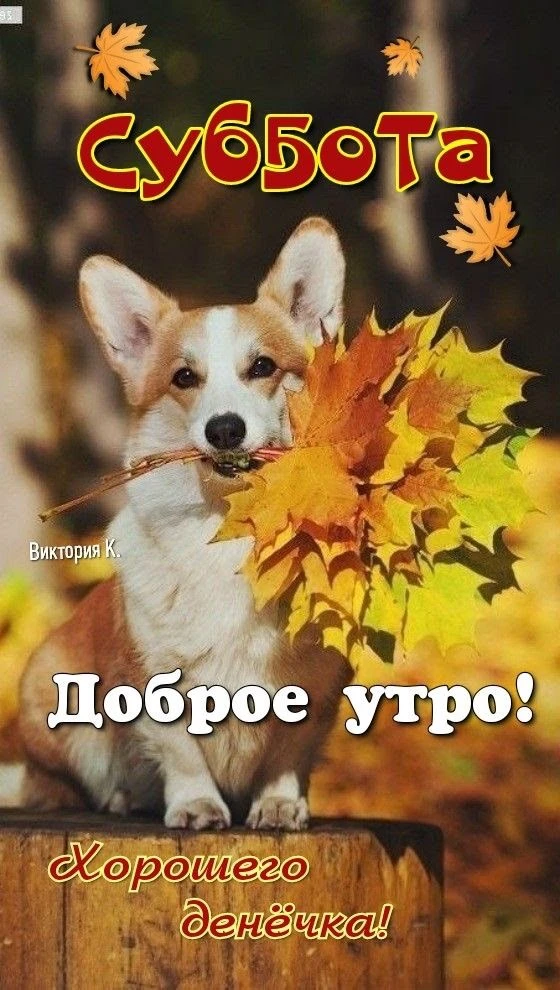 КРАСИВЫЕ ОТКРЫТКИ ТУТ💖