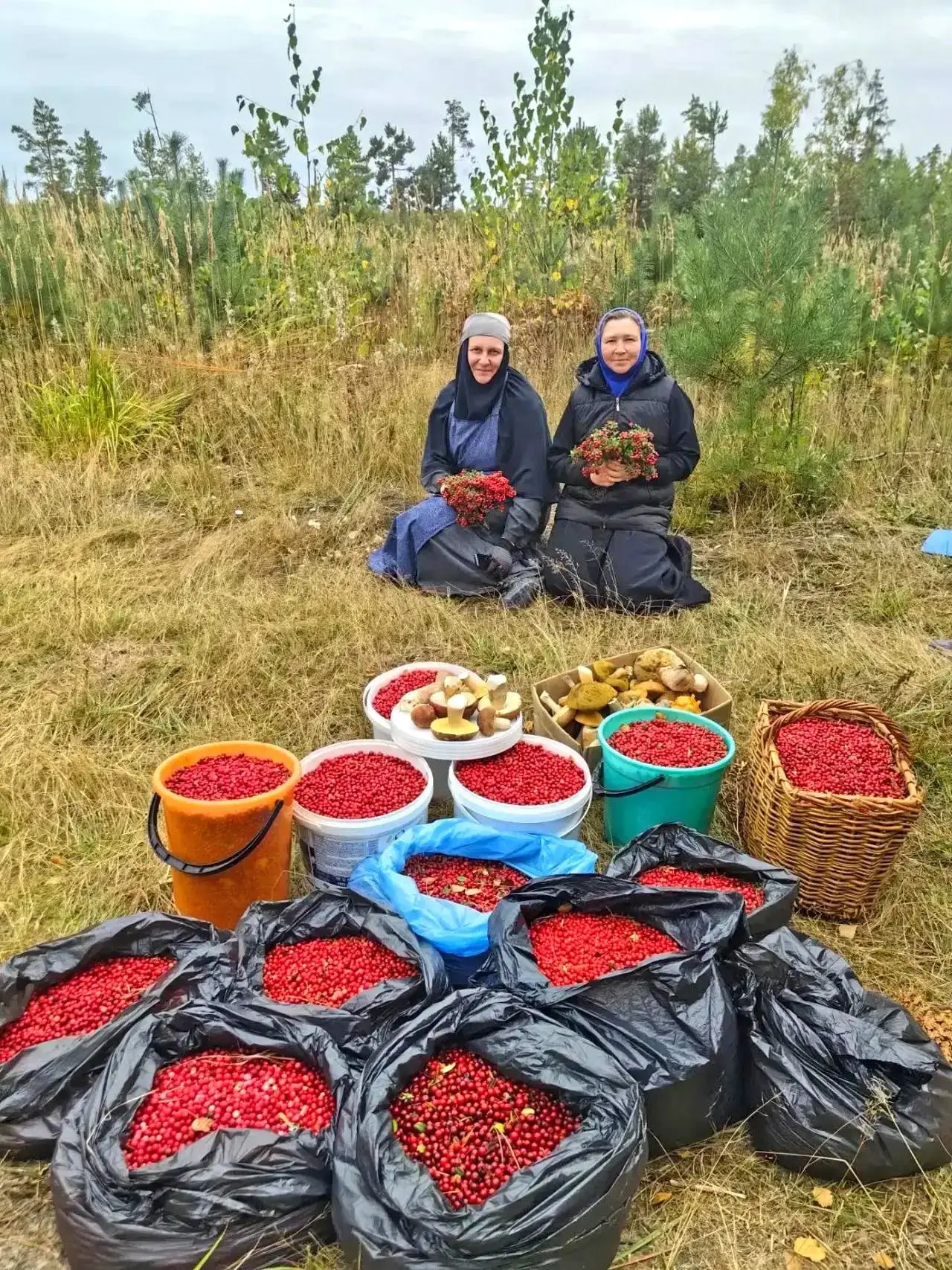 😍🍒 Смотрите, какая красота!