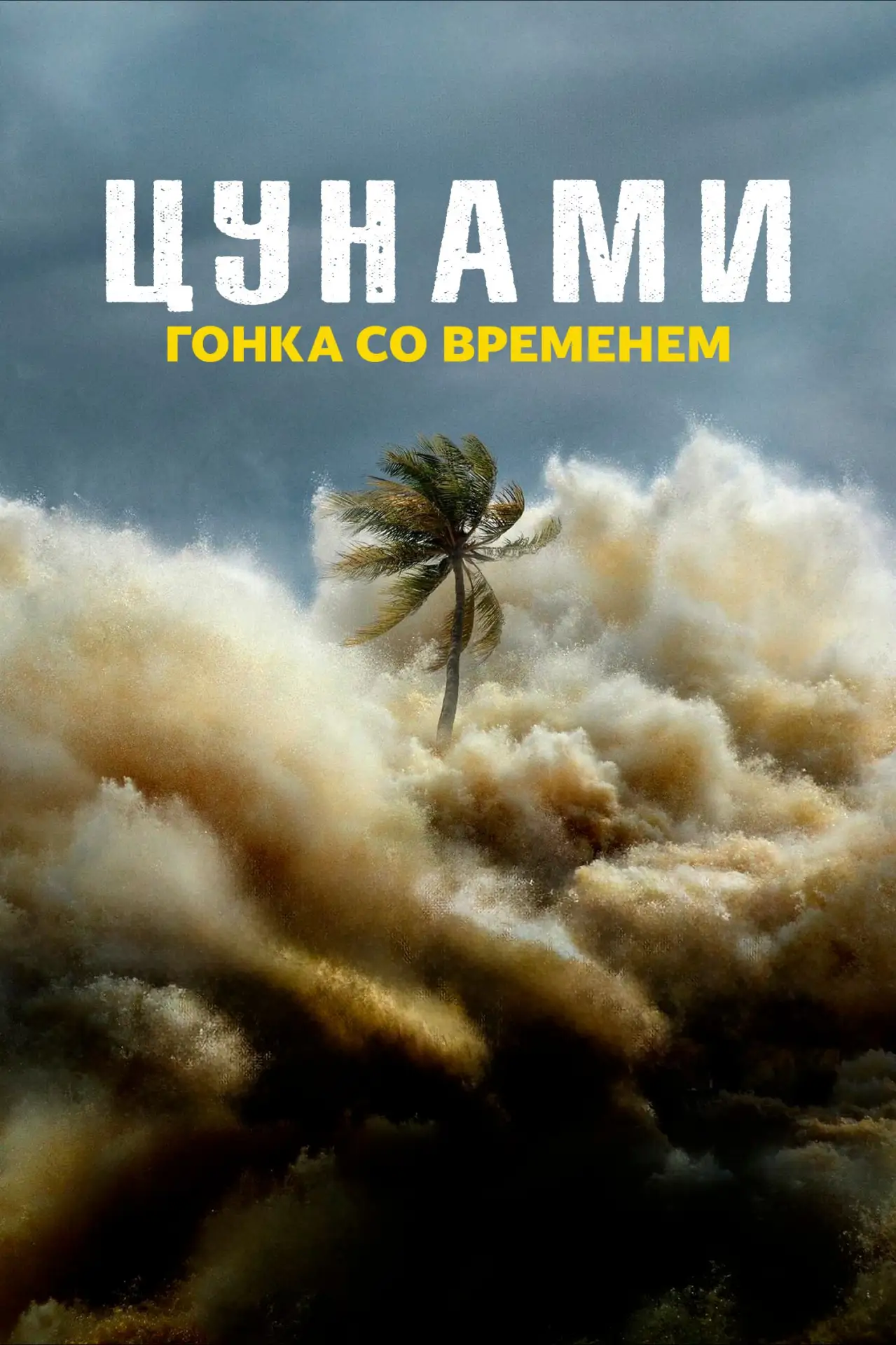 🎥 Сериал: Цунами: Гонка со временем