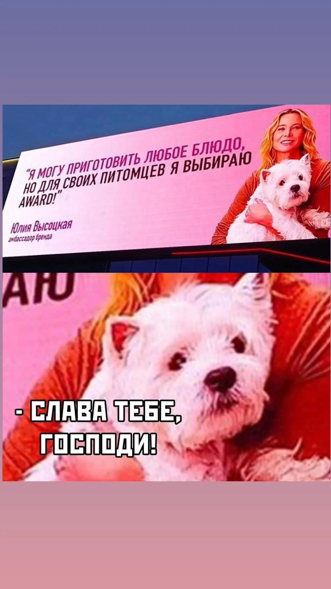 Отборные мемы загружаю https://max.ru/channel_memasy 👈🏻 только пачками сюда ☝️ Жми - ...