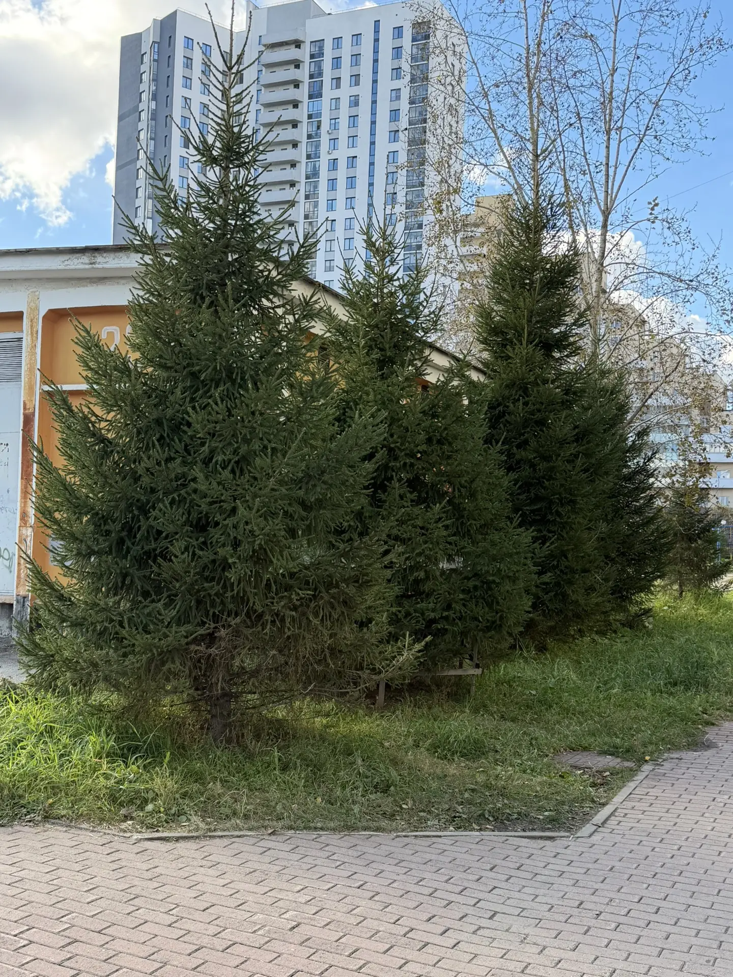 Хотела заработать 7 000 ₽ за неделю. А в итоге попросила у парня деньги на обед! 😳