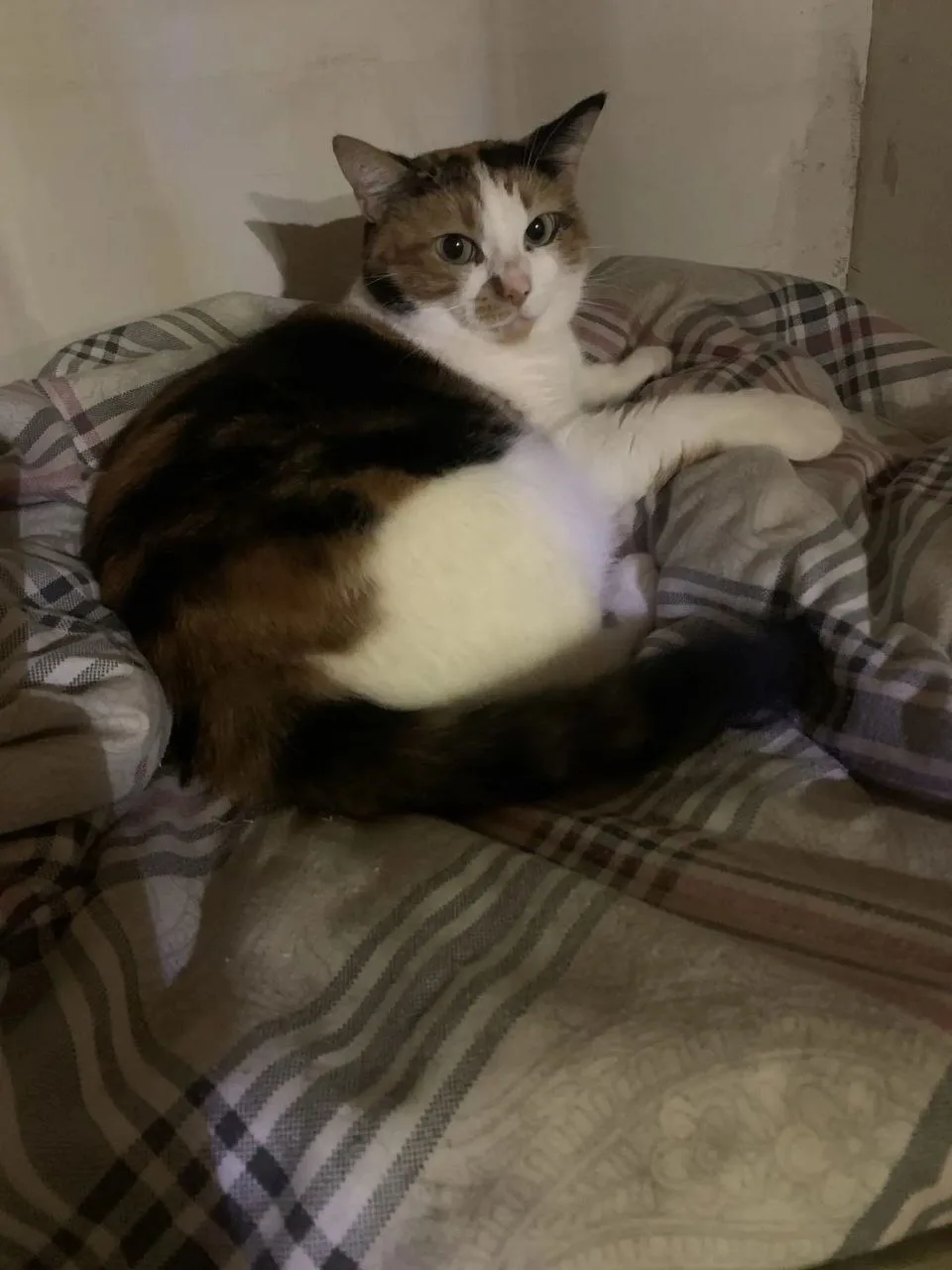 Моя Муся🥰