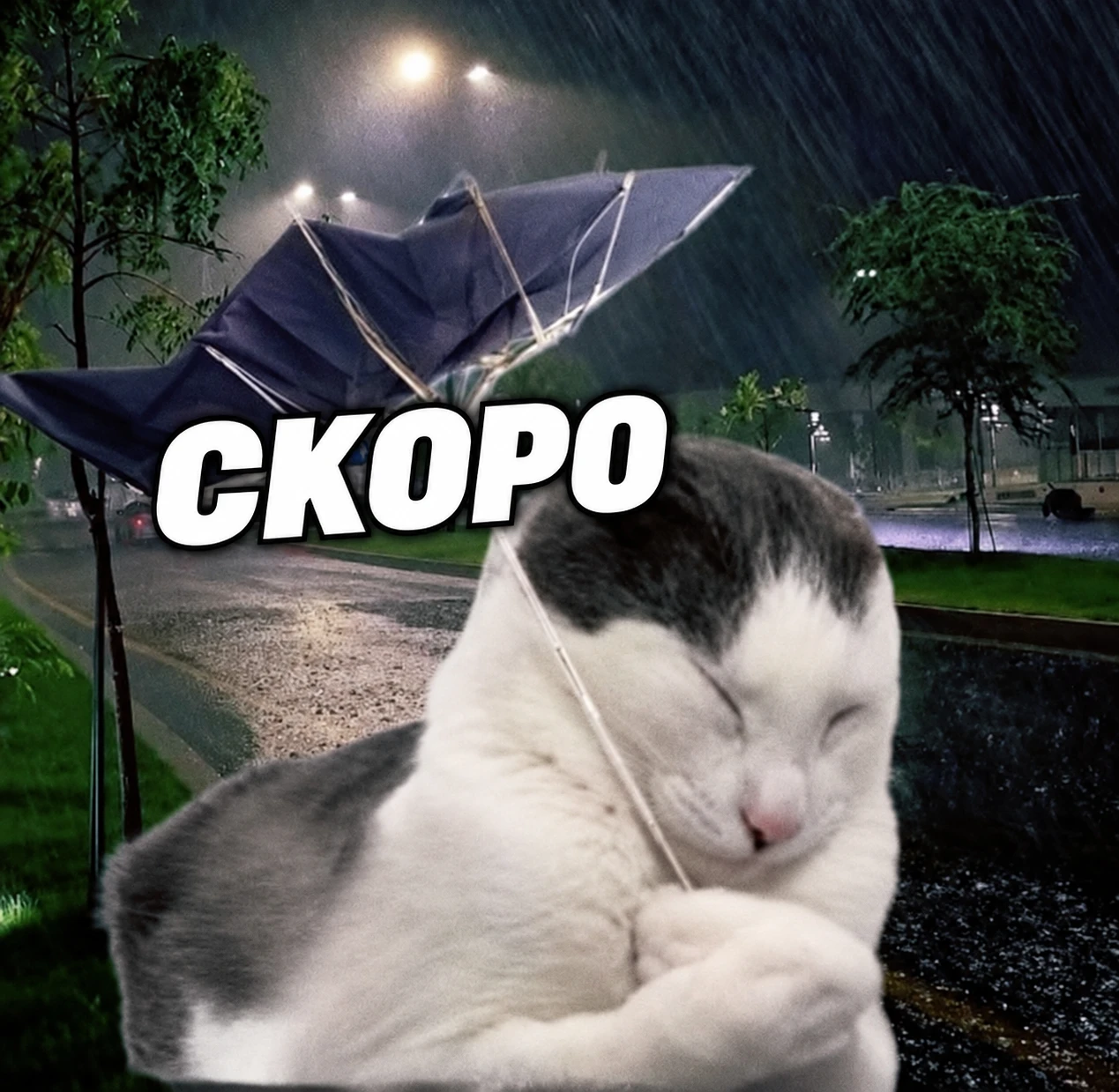 ⛈️ Краснодар накроют грозовые дожди